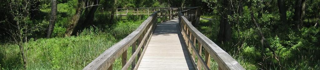 Luxury hotels in Orchard Park