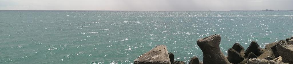 Luxury hotels in Venus