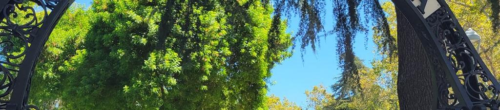 Luxury hotels in Concord