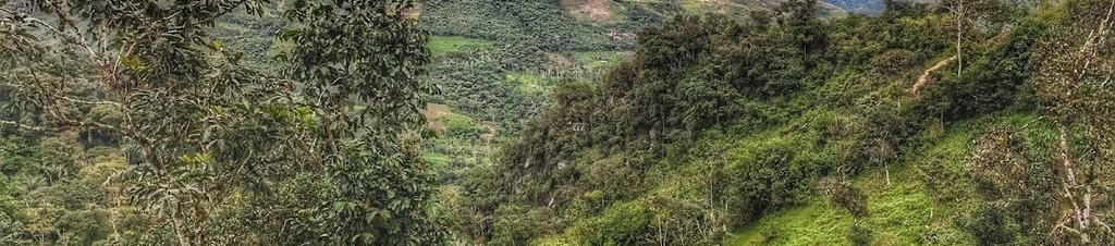 Luxury hotels in La Banda de Shilcayo