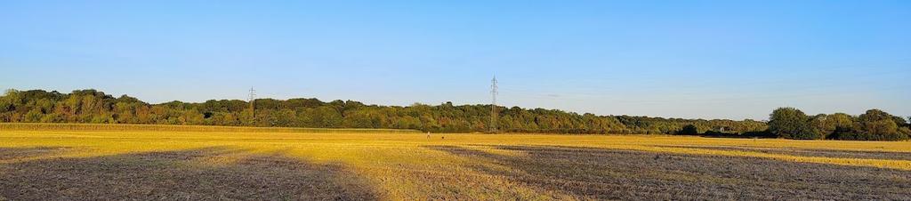 Luxury hotels in Sindorf