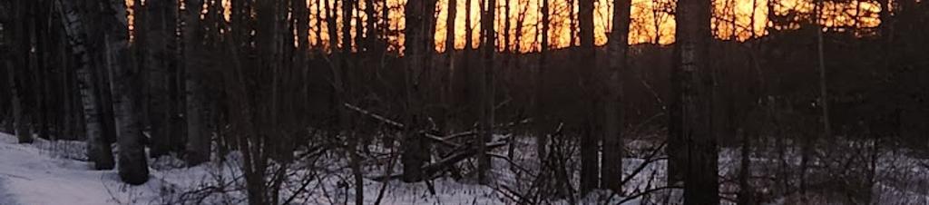 Luxury hotels in Stanstead