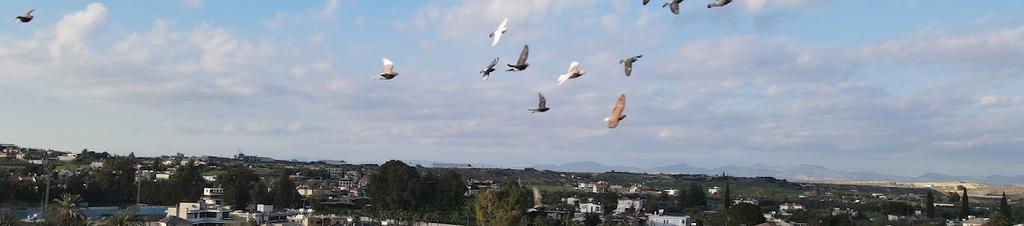 Luxury hotels in Dali