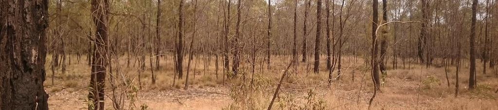 Luxury hotels in Chinchilla