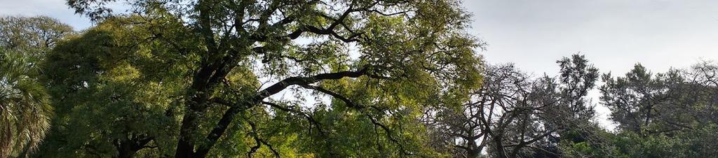 Luxury hotels in Buenos Aires