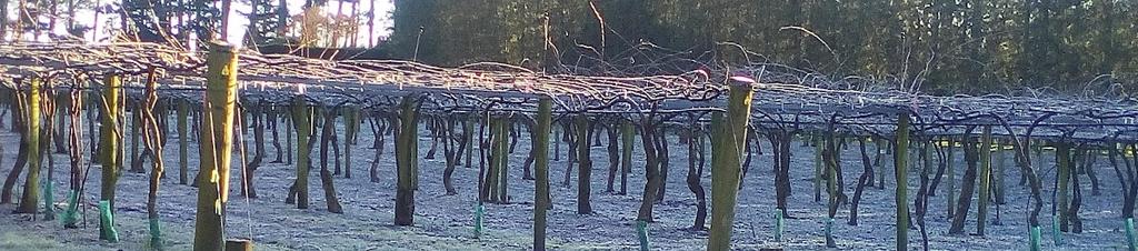 Luxury hotels in Eratap