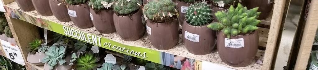 Luxury hotels in Deerfield