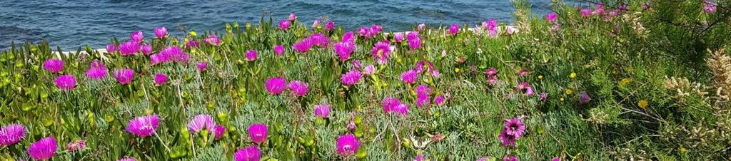 Luxury hotels in Denia