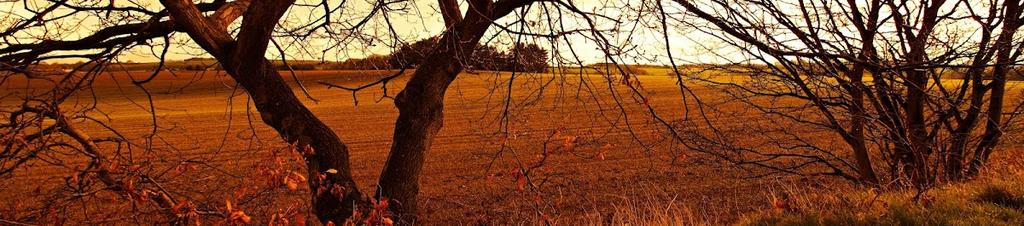 Luxury hotels in Langley Park