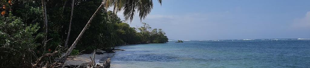 Luxury hotels in Bastimentos