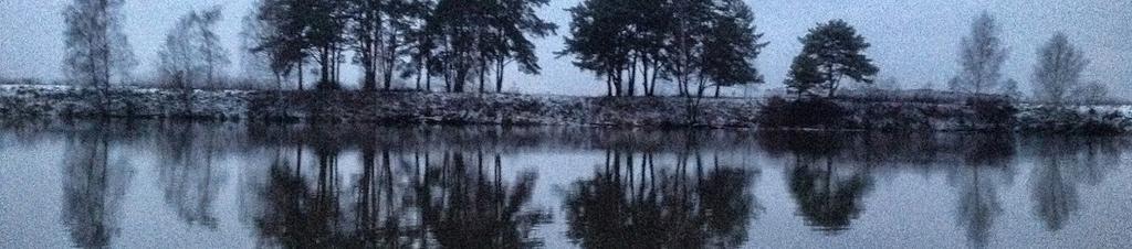 Luxury hotels in Barvikha