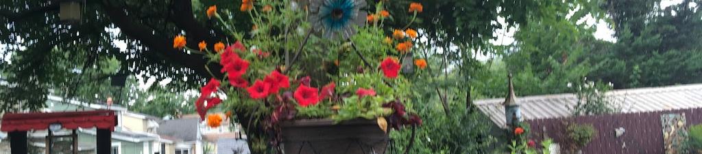 Luxury hotels in Baltimore County