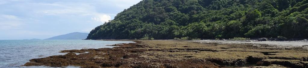 Luxury hotels in Cape Tribulation