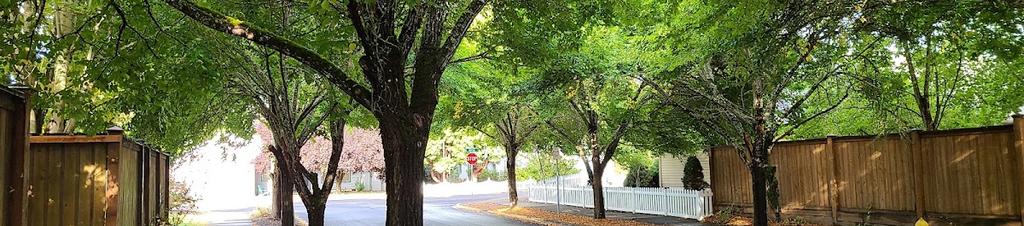 Luxury hotels in McMinnville