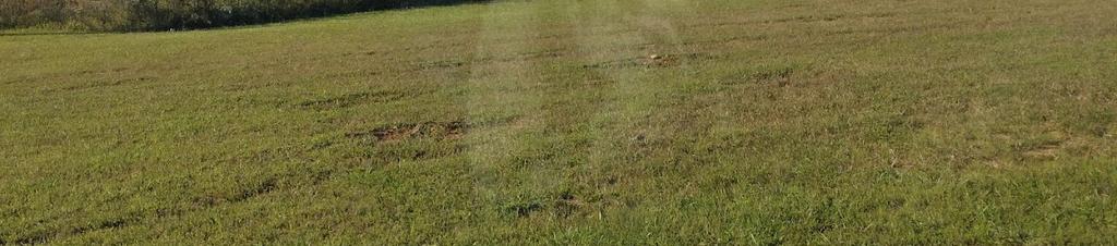 Luxury hotels in Dickson