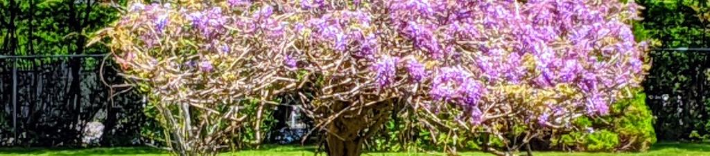 Luxury hotels in Bridgehampton