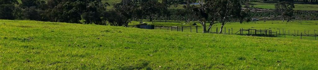 Luxury hotels in City of Victor Harbor