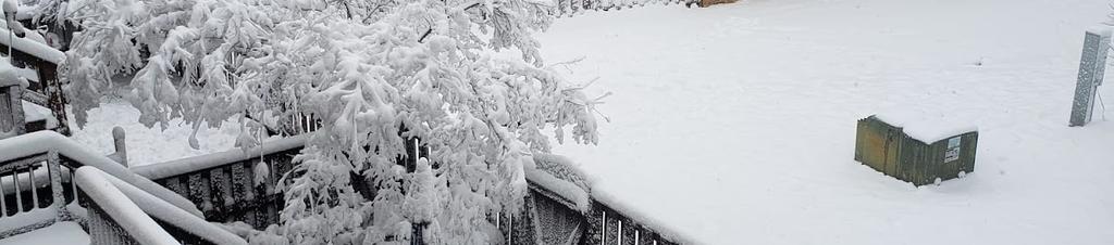 Luxury hotels in Fairfax