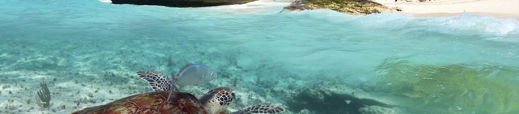 Luxury hotels in Akumal