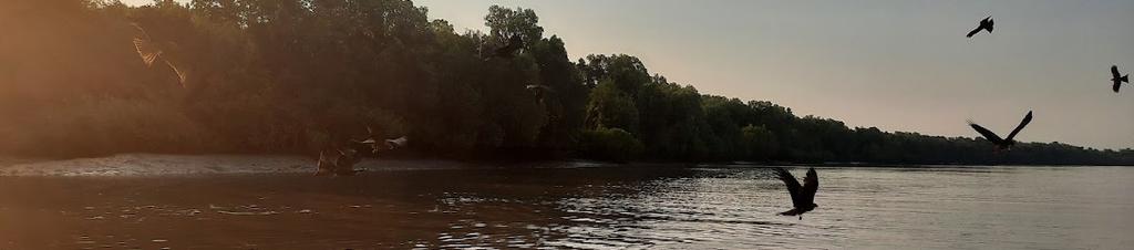 Luxury hotels in Adelaide River