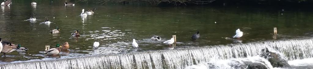 Luxury hotels in Matlock