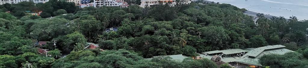 Luxury hotels in Santa Marta