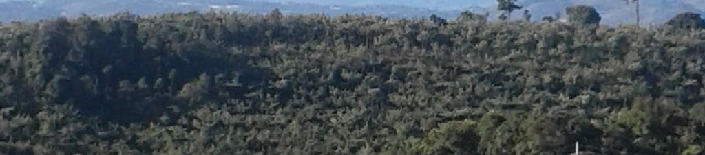 Luxury hotels in San Gabriel