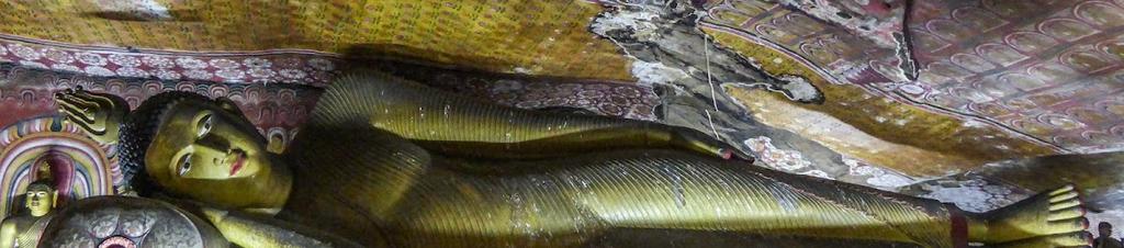 Luxury hotels in Dambulla