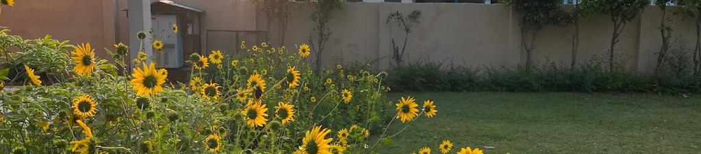 Luxury hotels in Ramnagar