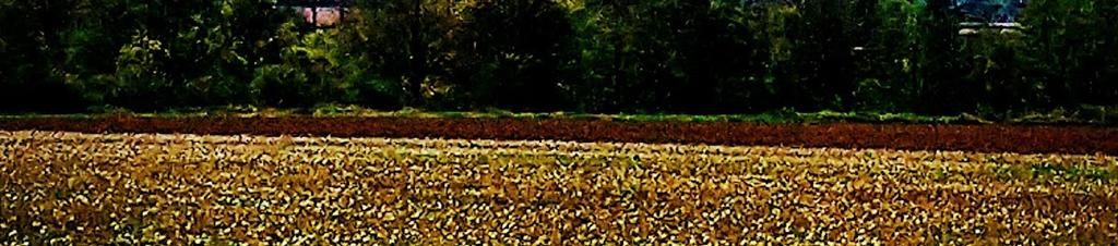 Luxury hotels in Epernay