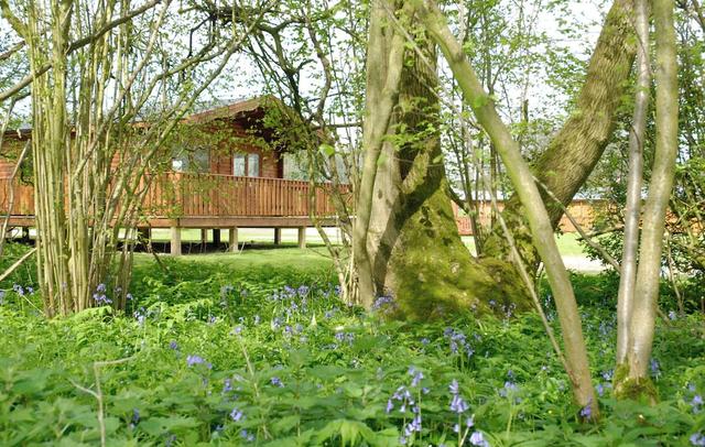 South Winchester Lodges