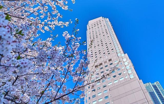 Cerulean Tower Tokyu Hotel