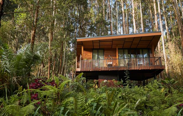 One&Only Gorilla's Nest