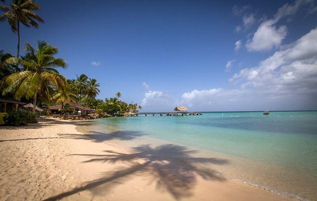 The Bungalow at Pigeon Point