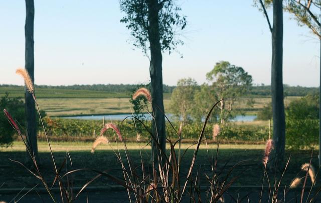 Hunter Valley Resort