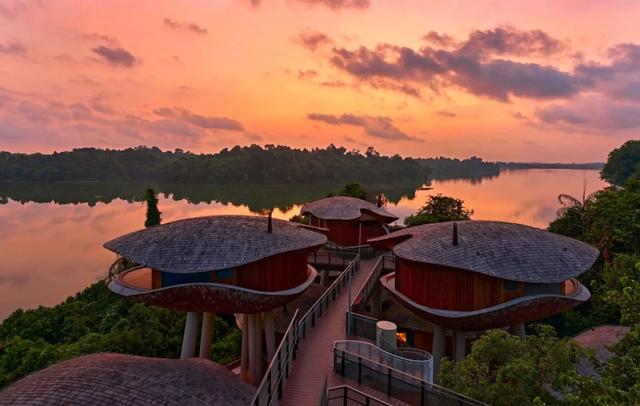 Mandai Rainforest Resort by Banyan Tree