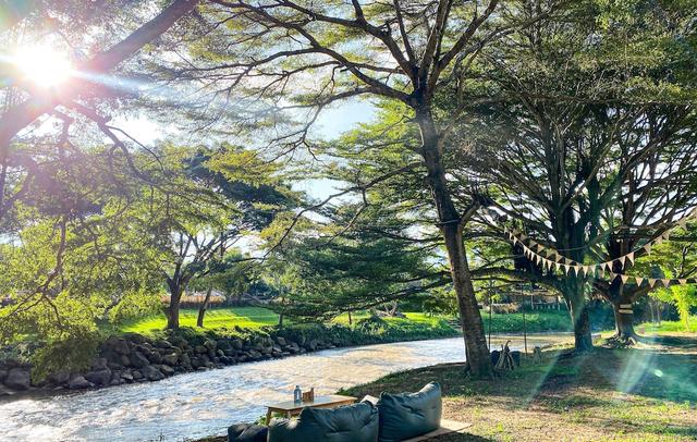 Re-Connect Nature Lodge Pai