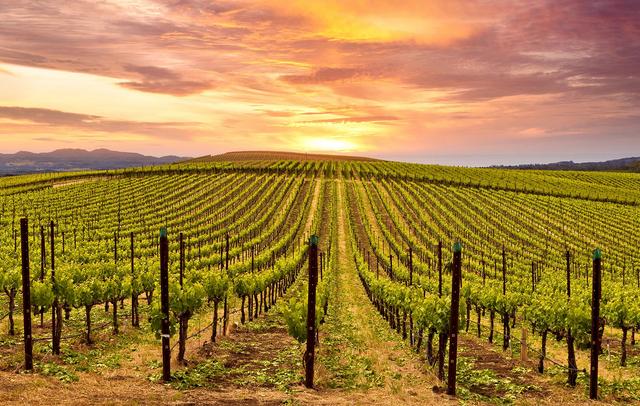 Napa Valley Marriott Hotel & Spa