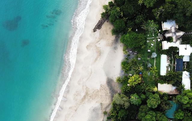 Le Cameleon Puerto Viejo