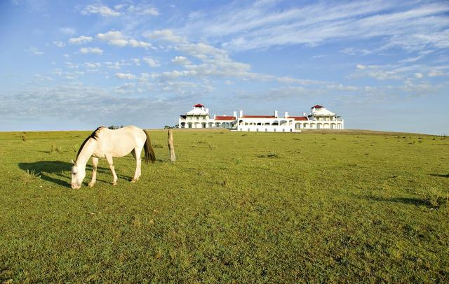 Estancia Vik Jose Ignacio