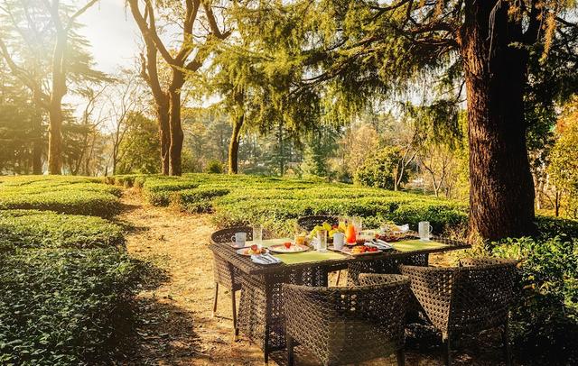 INFINITEA DAKBUNGLOW PALAMPUR