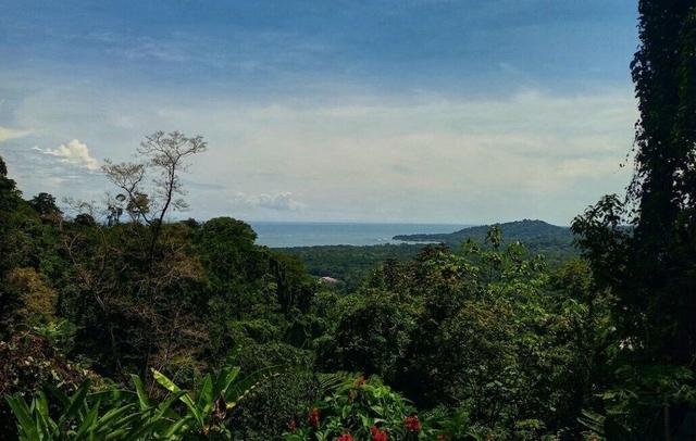 Samasati Rainforest Bungalows