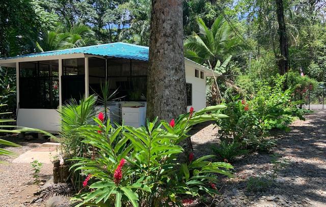 Beachfront apartment Punta uva