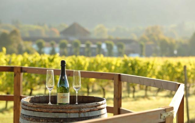 Denbies Vineyard Hotel