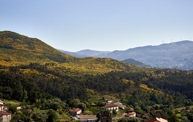 The Vinea Collection Hotel