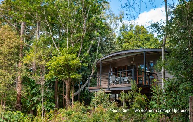 Whispering Valley Cottages Maleny