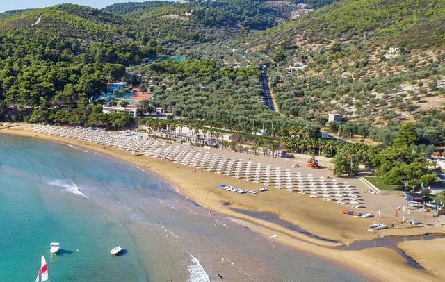 Gattarella Family Resort - Self-catering accommodations in the pinewood 