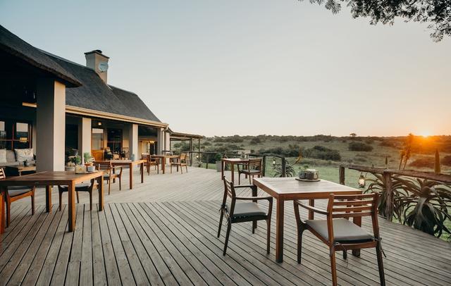 Hlosi Game Lodge - Amakhala Game Reserve