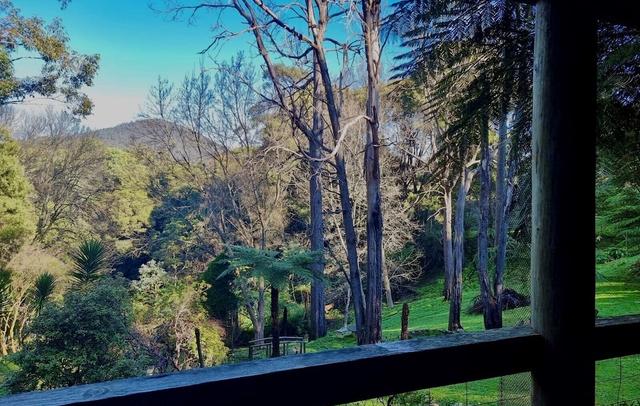 Forget Me Not Cottages