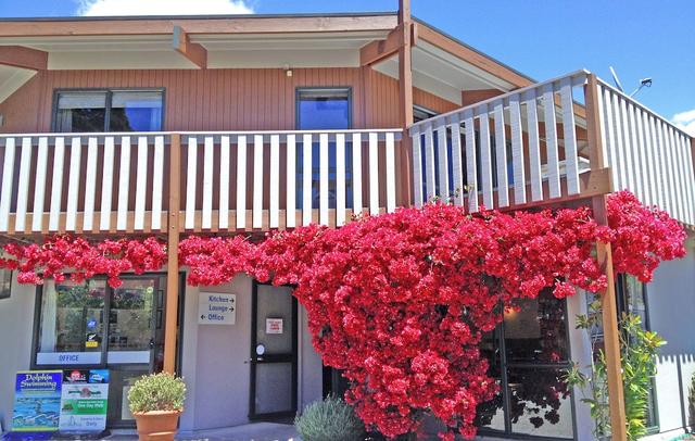 Picton Campervan Park